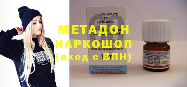 прущие грибы Корсаков
