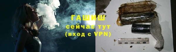 прущие грибы Корсаков