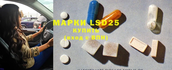 прущие грибы Корсаков