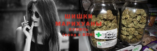 прущие грибы Корсаков