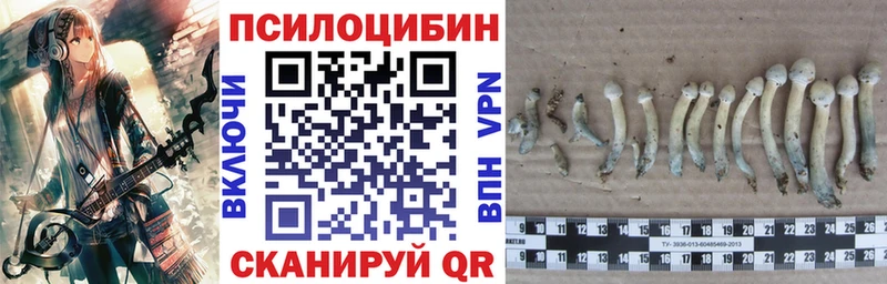 где можно купить Лобня Галлюциногенные грибы прущие грибы